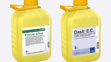 Focus® Aktiv-Pack